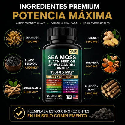 AELYR™ Sea Moss Complex  + Black Seed Oil + Ashwagandha – Suplemento Natural Todo en Uno