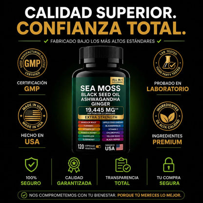 AELYR™ Sea Moss Complex  + Black Seed Oil + Ashwagandha – Suplemento Natural Todo en Uno